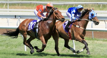 Tips for Perth Cup Day 2011